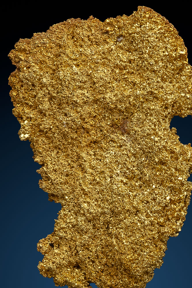 Rare Crystallized Gold Specimen - Farncomb Hill, CO [RB162